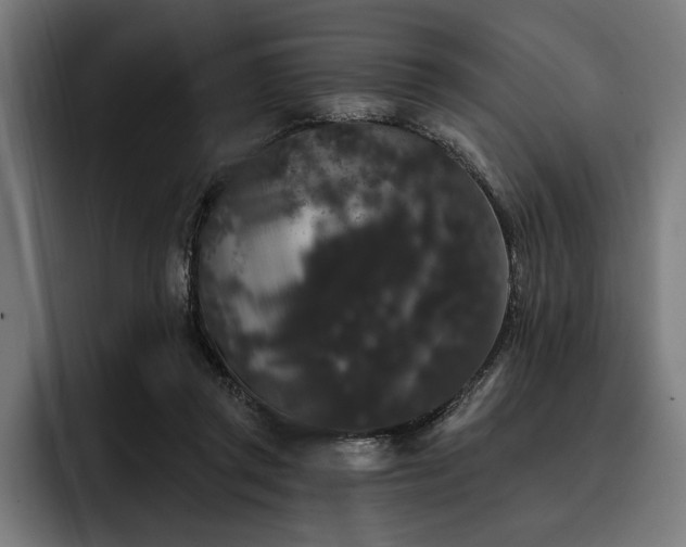 X0000093400357200710121103