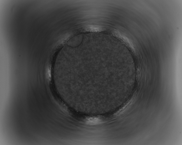 X0000093400358200710121103