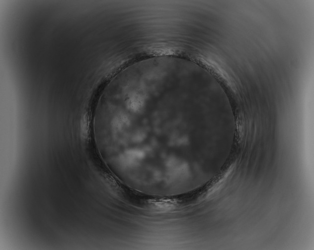 X0000093400359200710121103