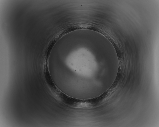 X0000093400360200710121103