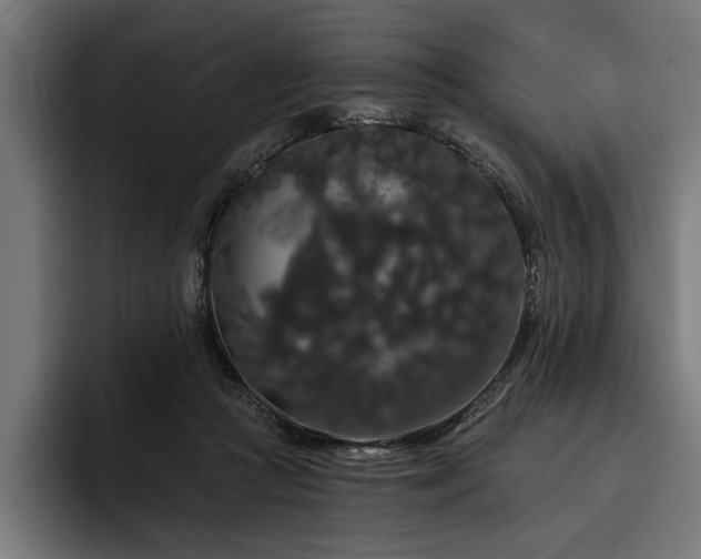 X0000093400361200710121103