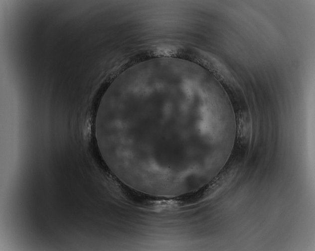 X0000093400363200710121103
