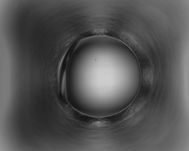 X0000093400364200710121103