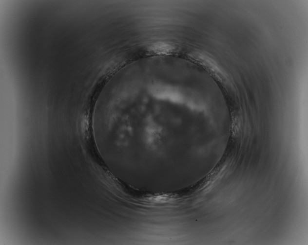 X0000093400365200710121103