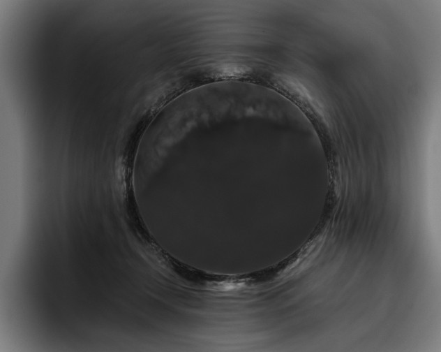 X0000093400366200710121103