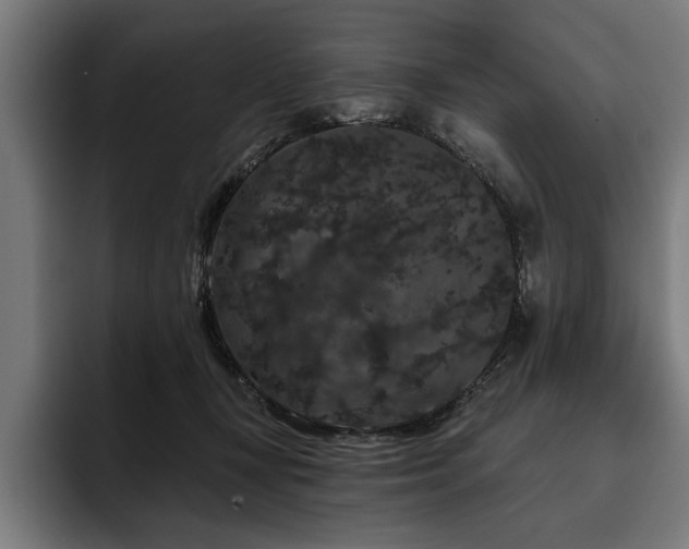 X0000093400367200710121103