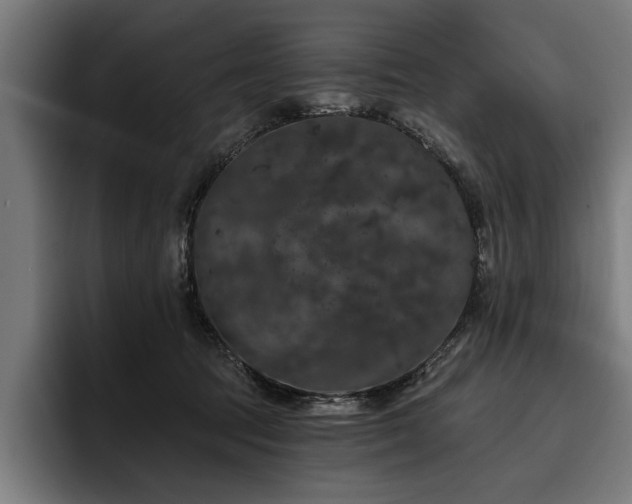 X0000093400369200710121103