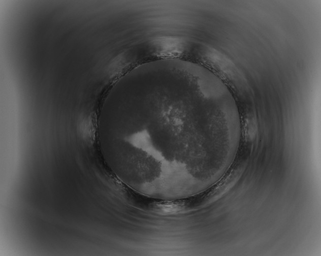 X0000093400370200710121103