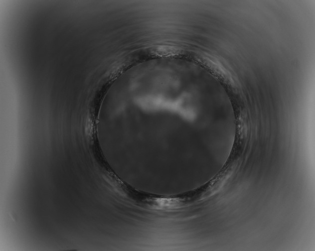 X0000093400371200710121103