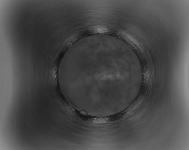 X0000093400373200710121103