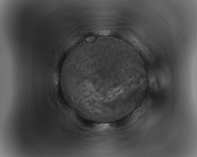 X0000093400374200710121103
