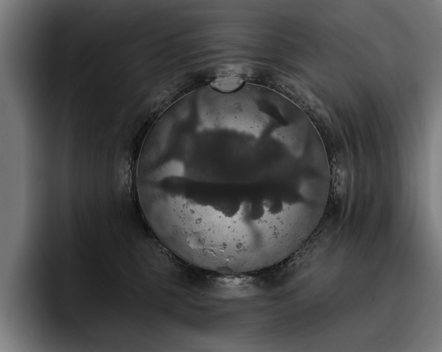 X0000093400375200710121103