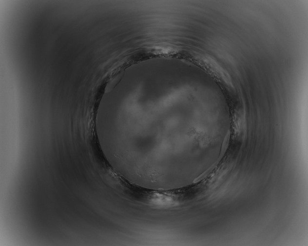 X0000093400376200710121103