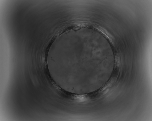 X0000093400377200710121103