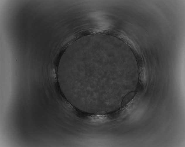 X0000093400378200710121103