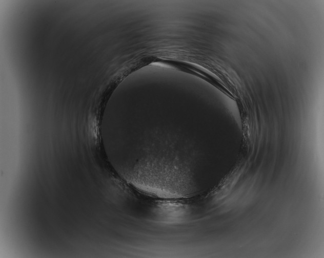 X0000093400380200710121103