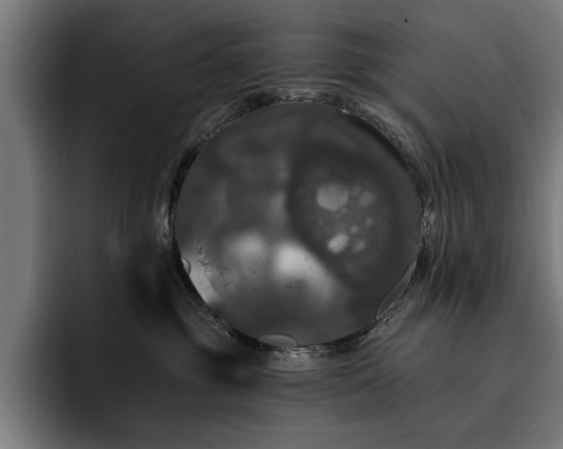 X0000093400381200710121103