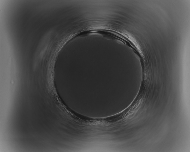 X0000093400385200710121102