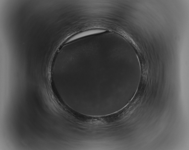 X0000093400386200710121102