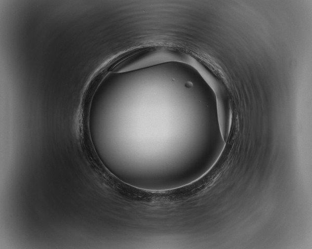 X0000093400388200710121102