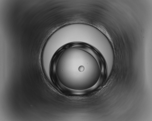 X0000093400389200710121102