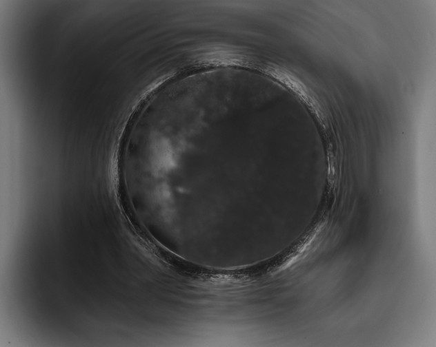 X0000093400390200710121102