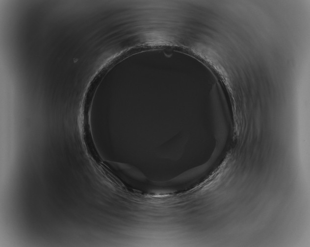 X0000093400391200710121102