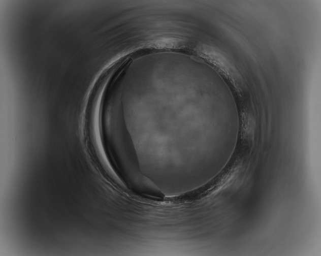 X0000093400392200710121102