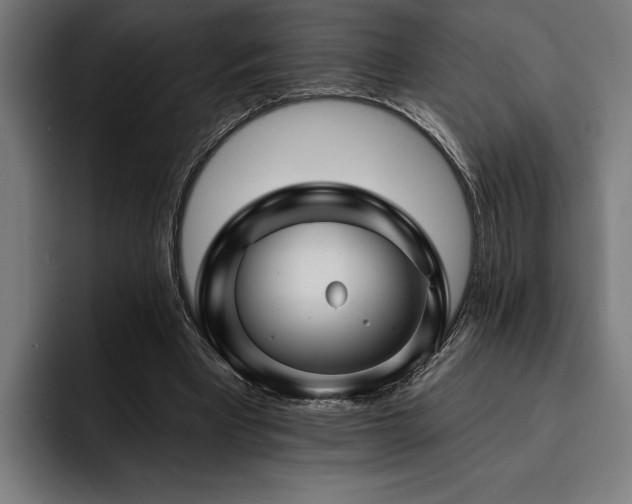 X0000093400393200710121102