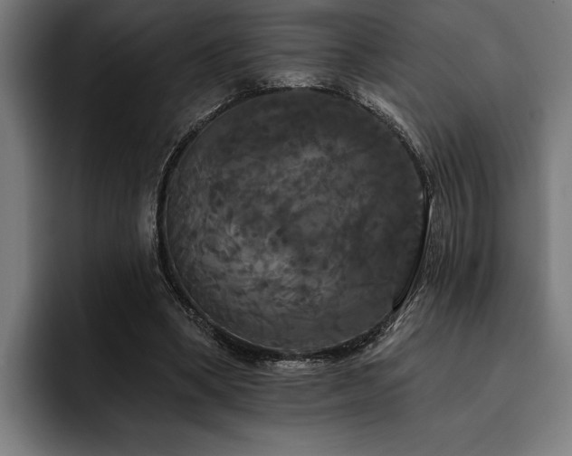 X0000093400394200710121102