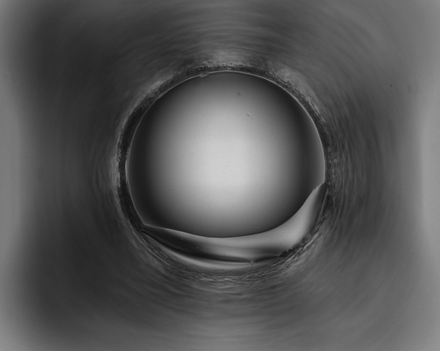 X0000093400395200710121102