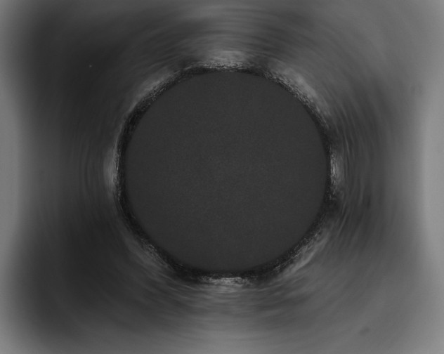 X0000093400396200710121102