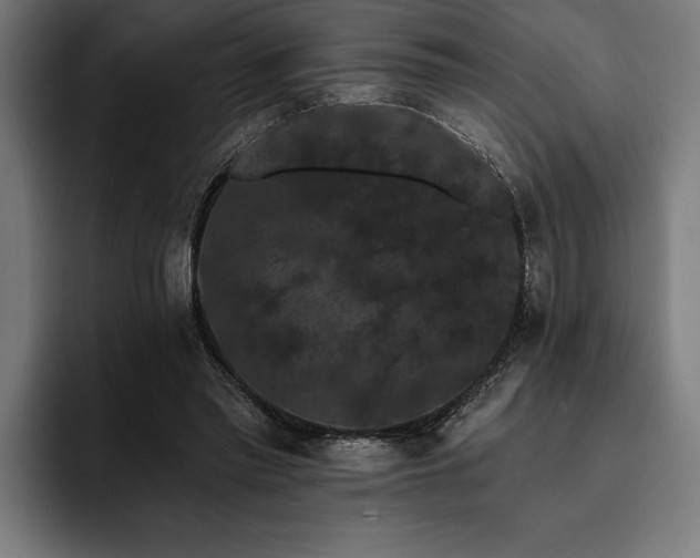 X0000093400397200710121102