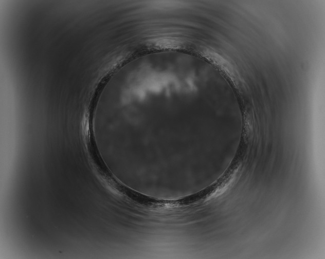 X0000093400398200710121102