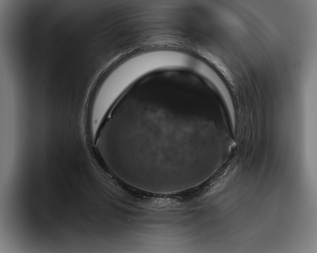 X0000093400399200710121102