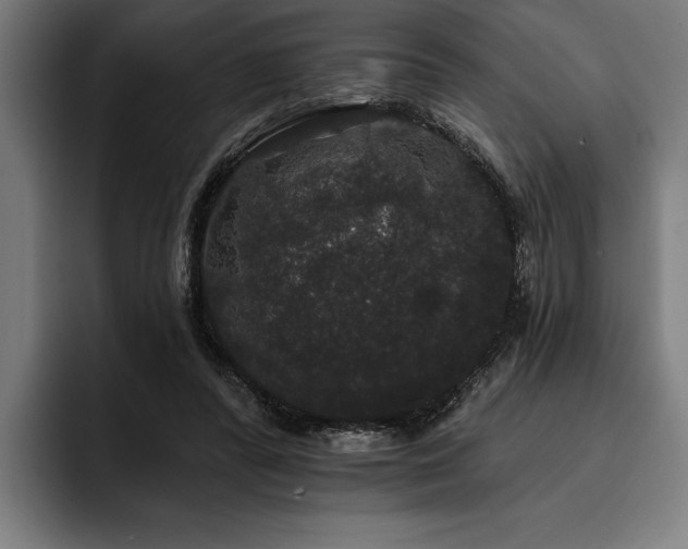 X0000093400400200710121102