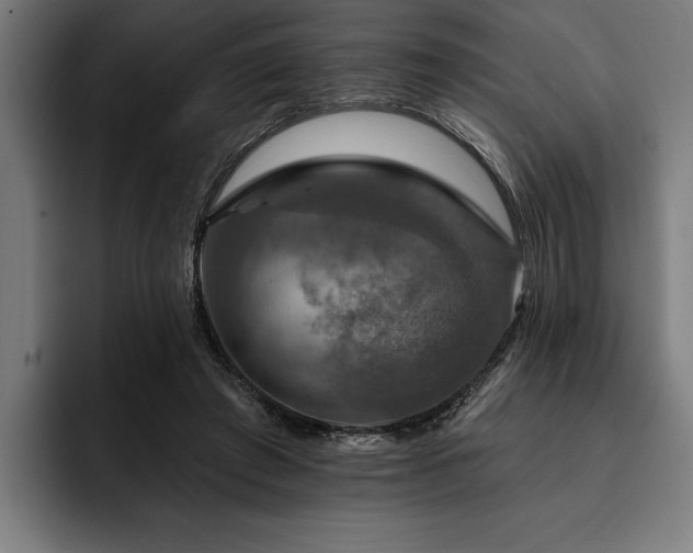 X0000093400401200710121102