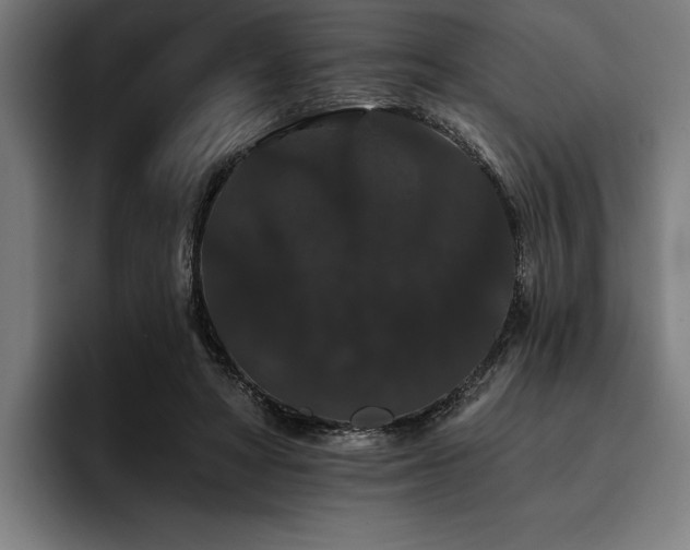 X0000093400402200710121102