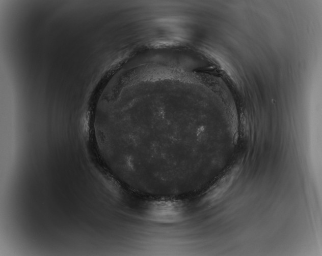 X0000093400404200710121102