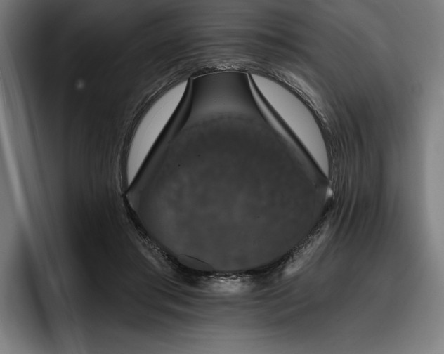 X0000093400405200710121102
