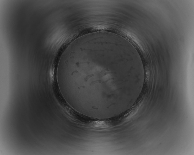 X0000093400406200710121102