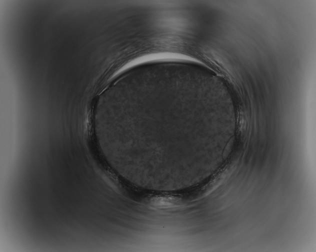 X0000093400408200710121102