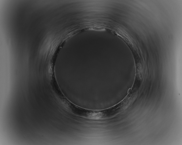 X0000093400410200710121102