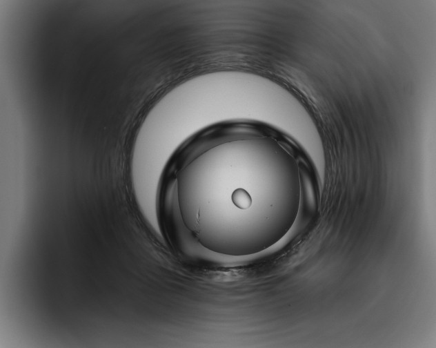 X0000093400411200710121102