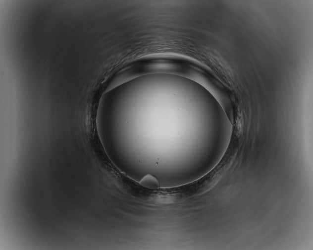 X0000093400416200710121102