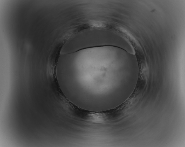 X0000093400417200710121102