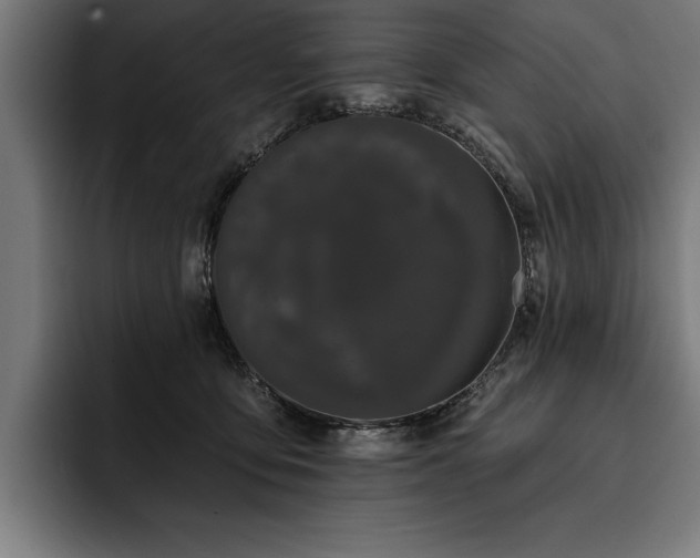 X0000093400419200710121102