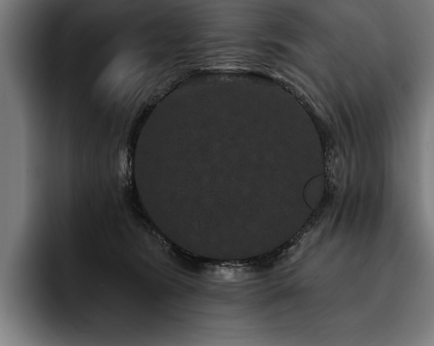 X0000093400420200710121102