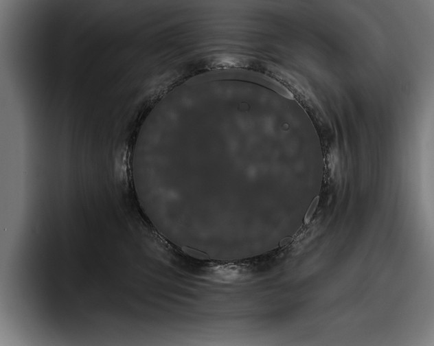 X0000093400423200710121102