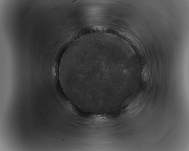 X0000093400424200710121102